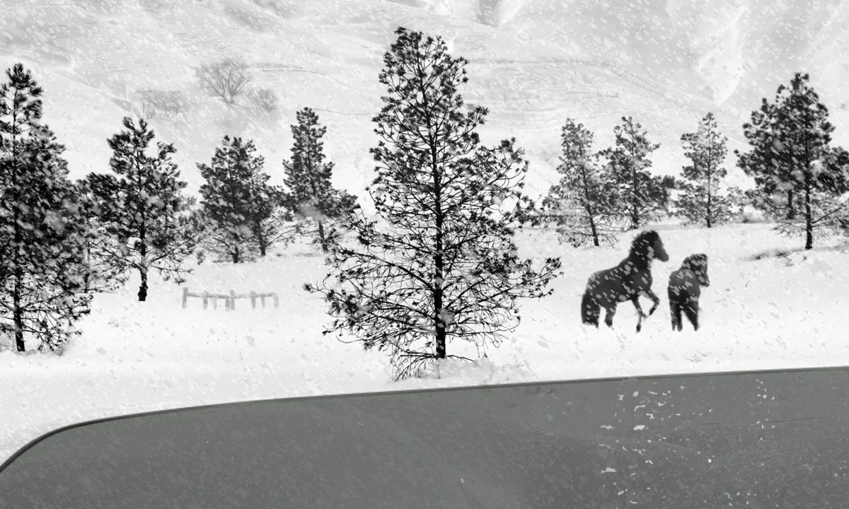 Cover art for #Heft TRANSMISSION Screening: 24 Frames by Abbas Kiarostami — Heft Gallery
