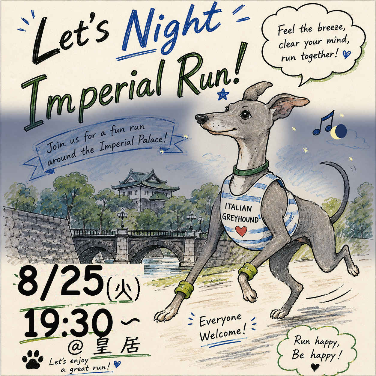 Night Run vol.6
