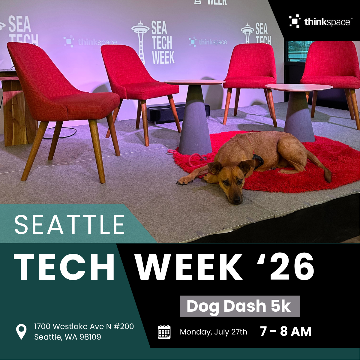 Dog Dash 5K | Thinkspace