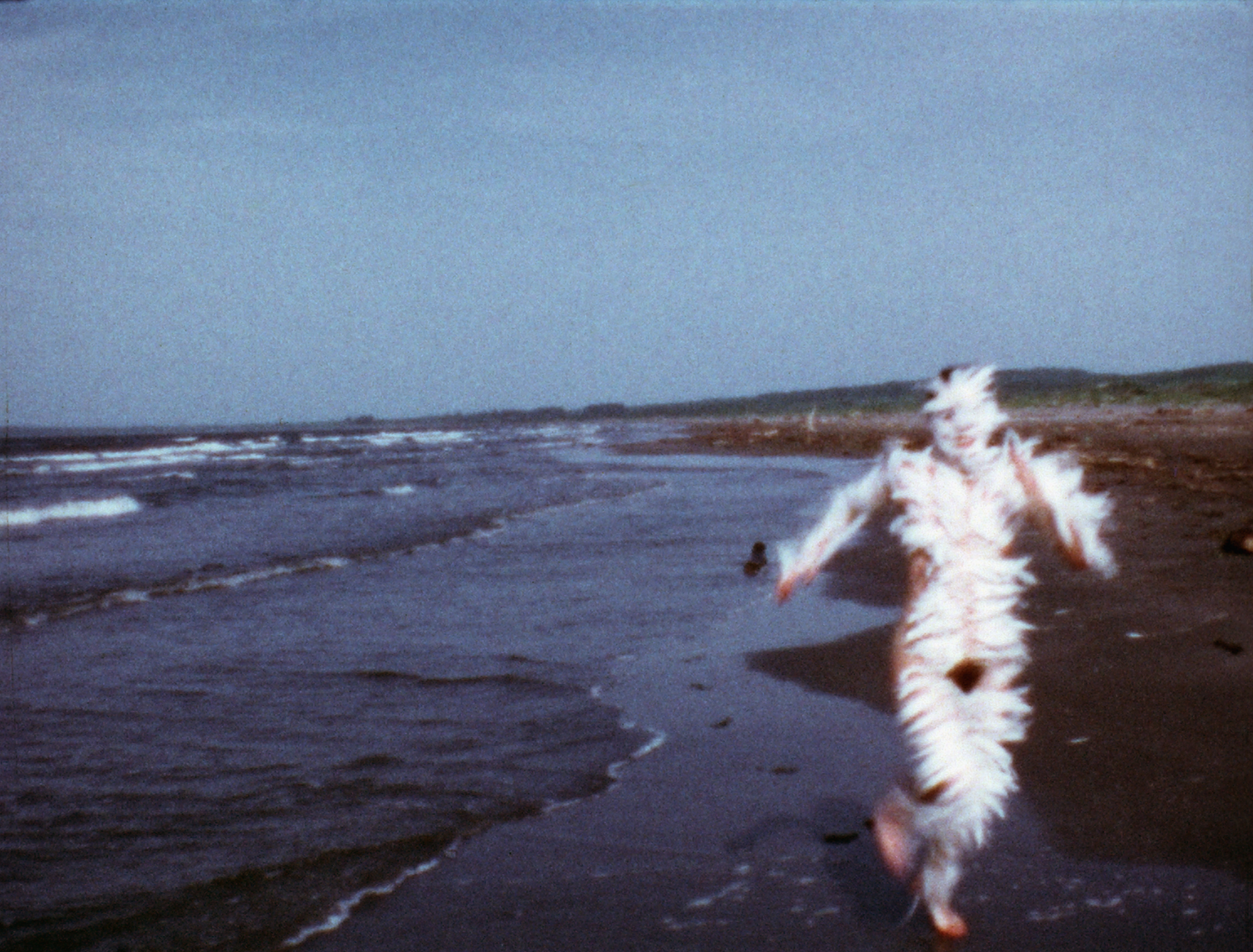 Sage Art: Ana Mendieta at Tate Modern