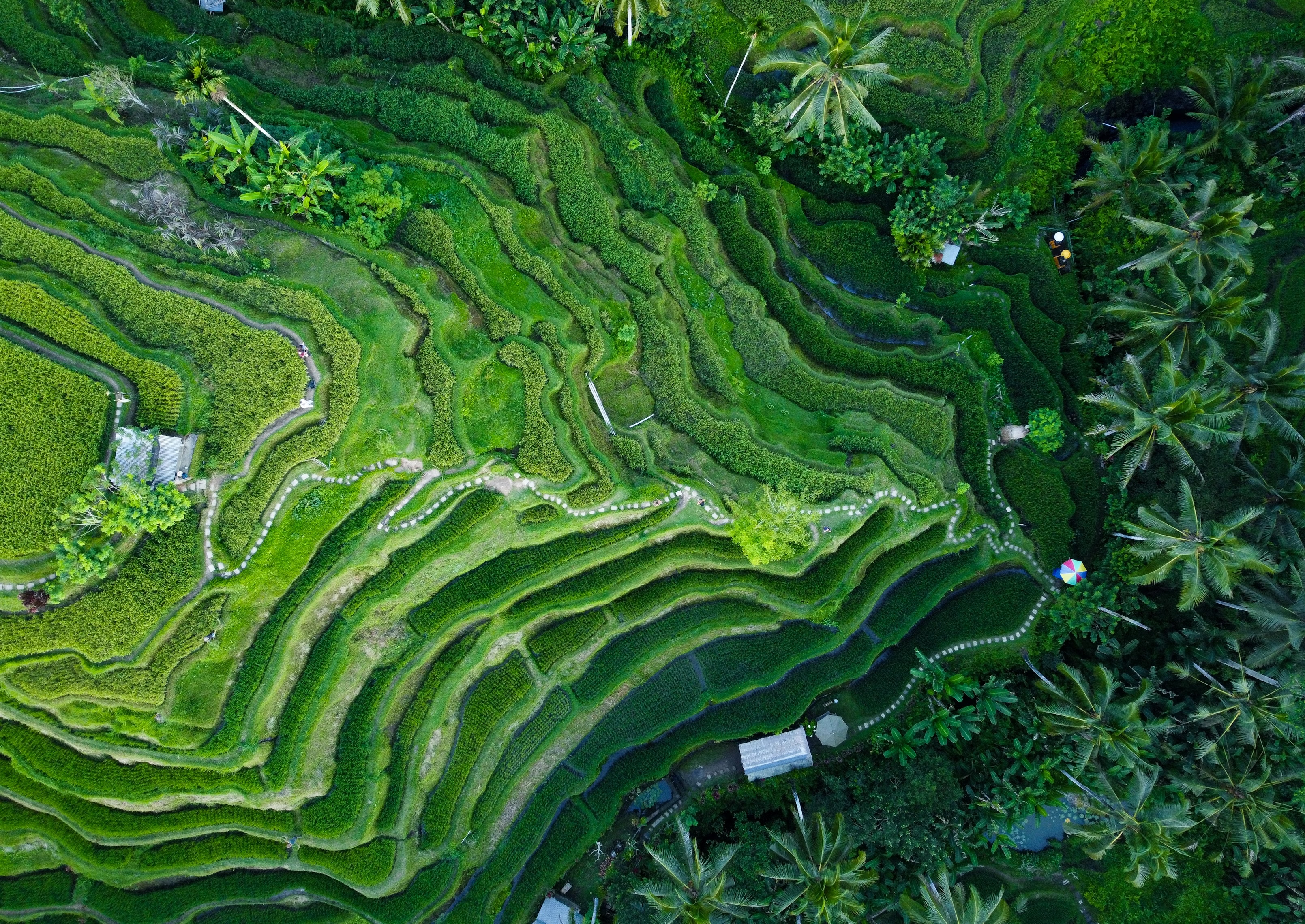 Stability Multipliers: Food and Climate Security in a Fractured World