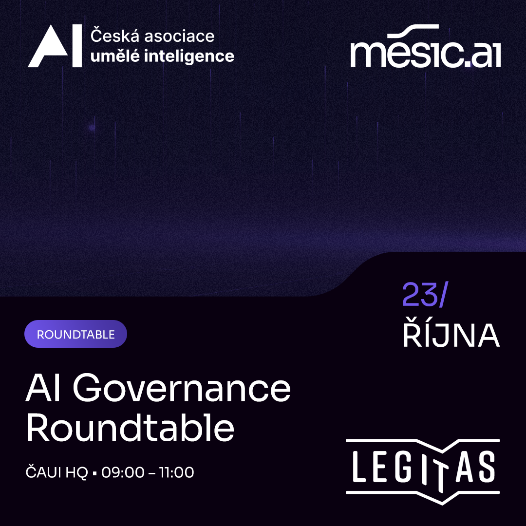 AI Governance Roundtable