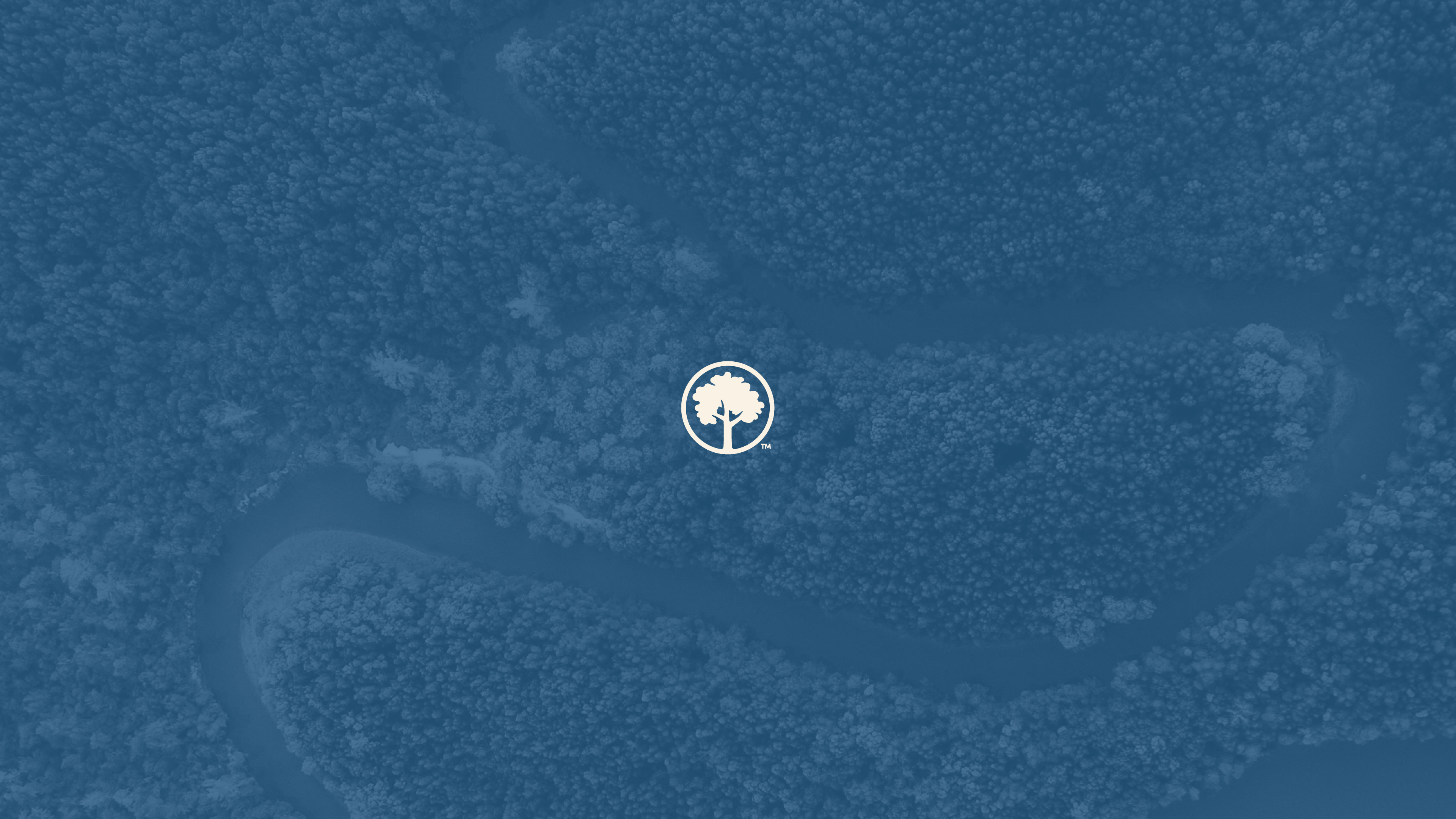 Trees on the Timeline: Where Forests Fit into SBTI's New Carbon Removal Mandate