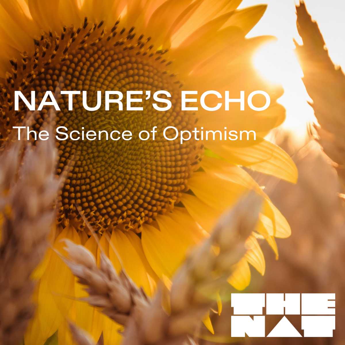 Cover art for #Nature's Echo: The Science of Optimism Breakfast Event with THE NAT — The Conduit