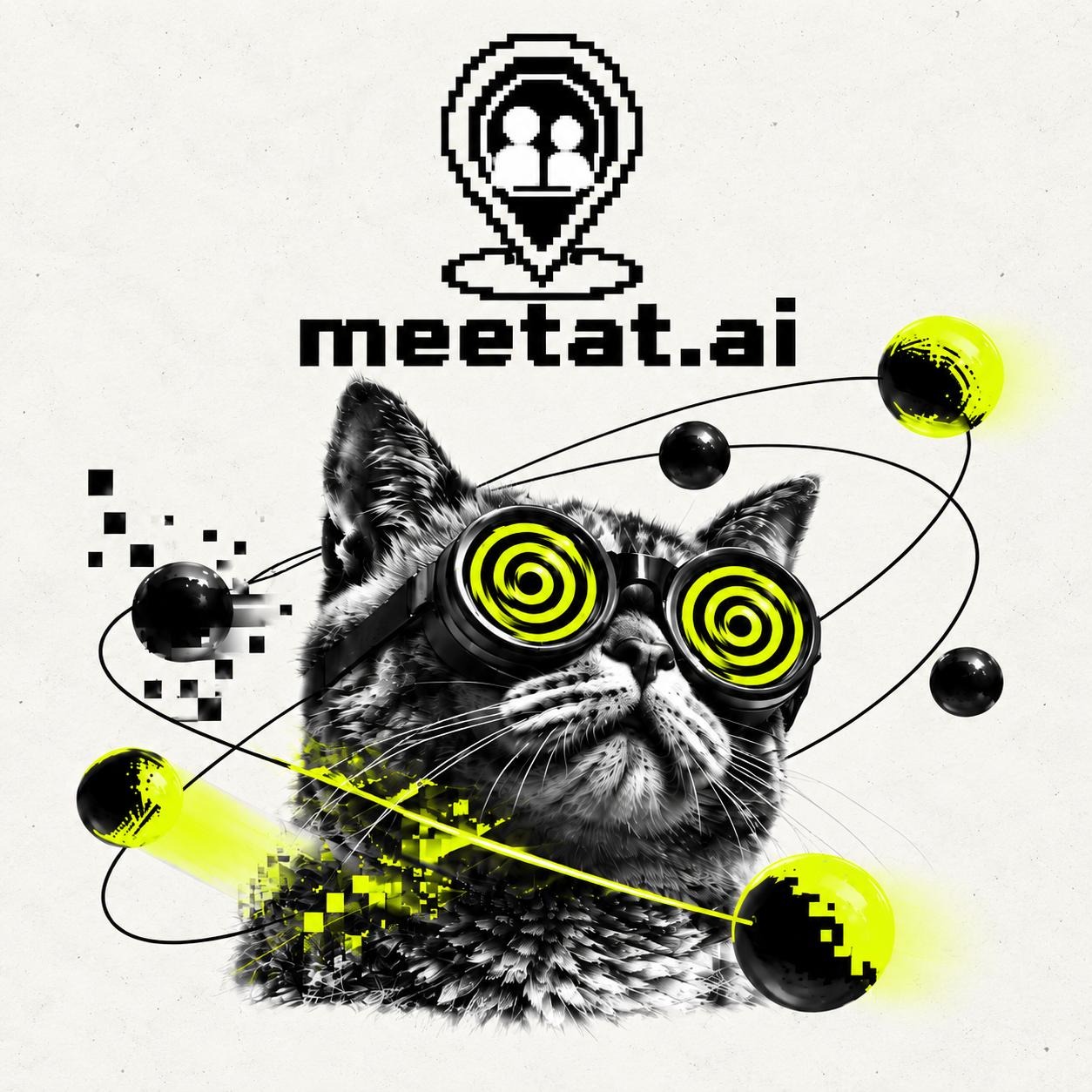 meetat.ai - Local AI in Practice