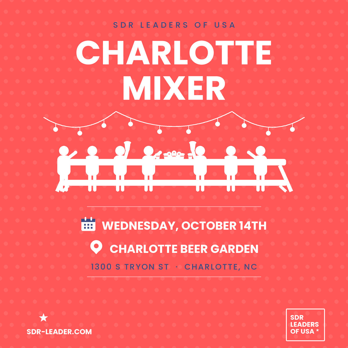Cover image for SDR Leaders of USA: Charlotte Mixer