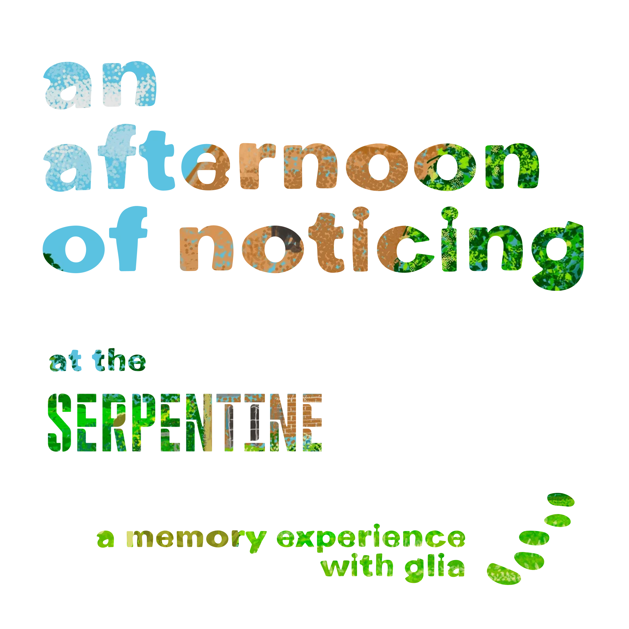 an afternoon of noticing