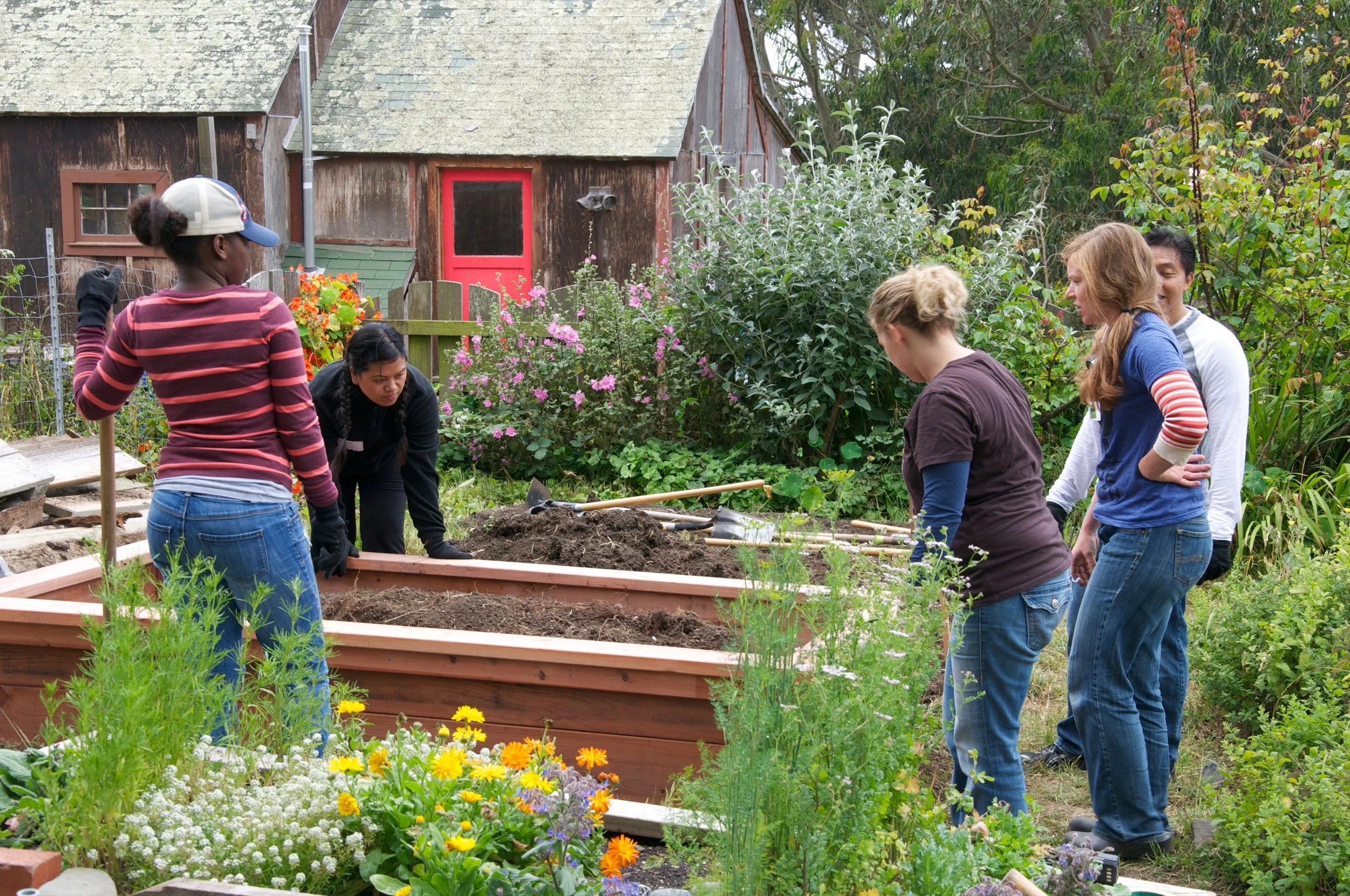 Daniel's Property Volunteer Morning - Aug 1