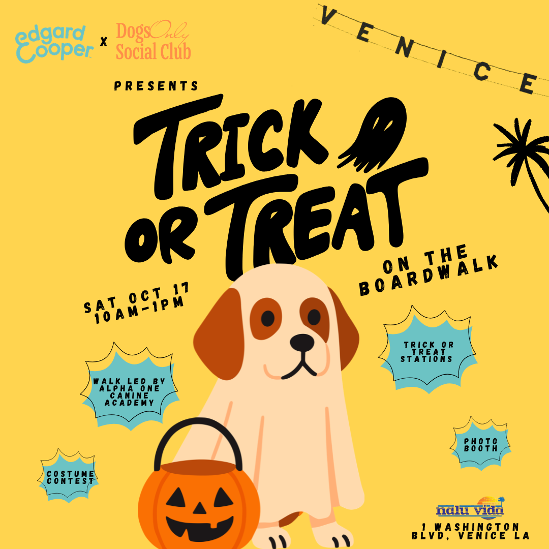 Trick or Treat on the Boardwalk 🎃