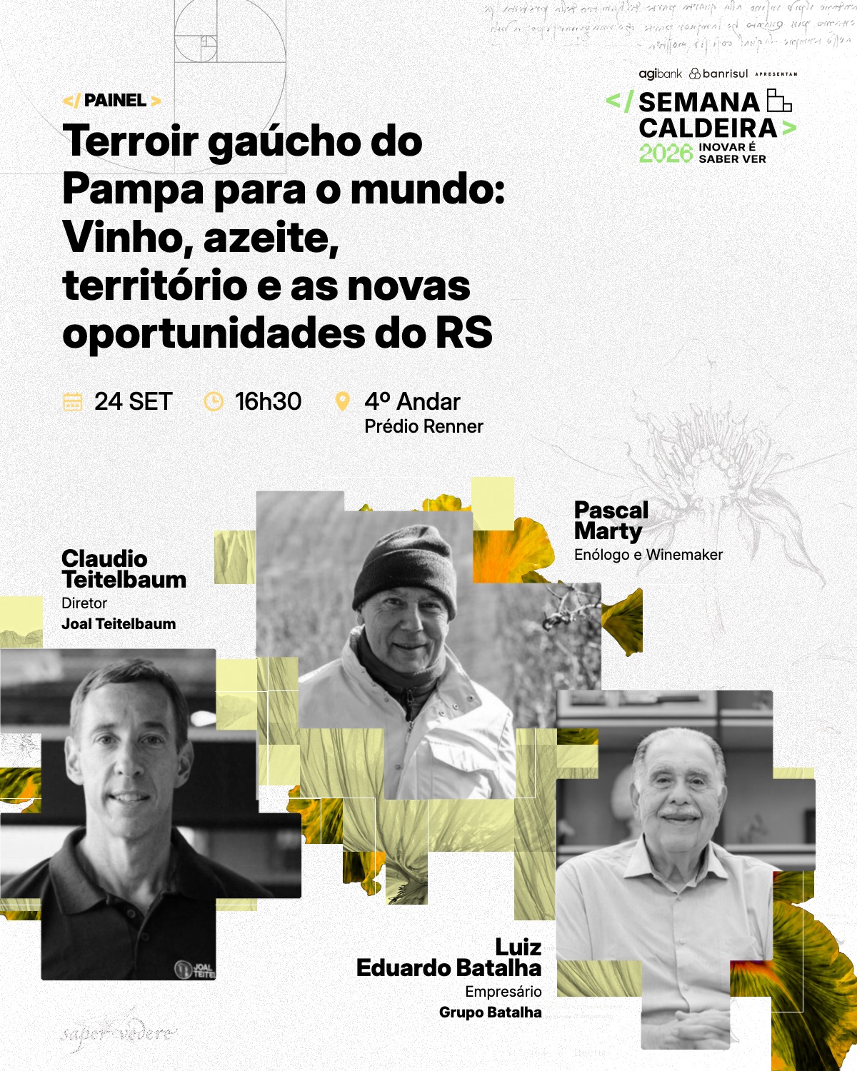 Terroir Gaúcho: vinhos e azeites do Pampa para o mundo