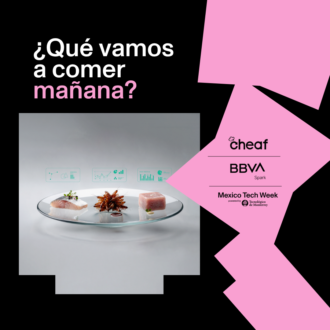 ¿Qué vamos a comer mañana?