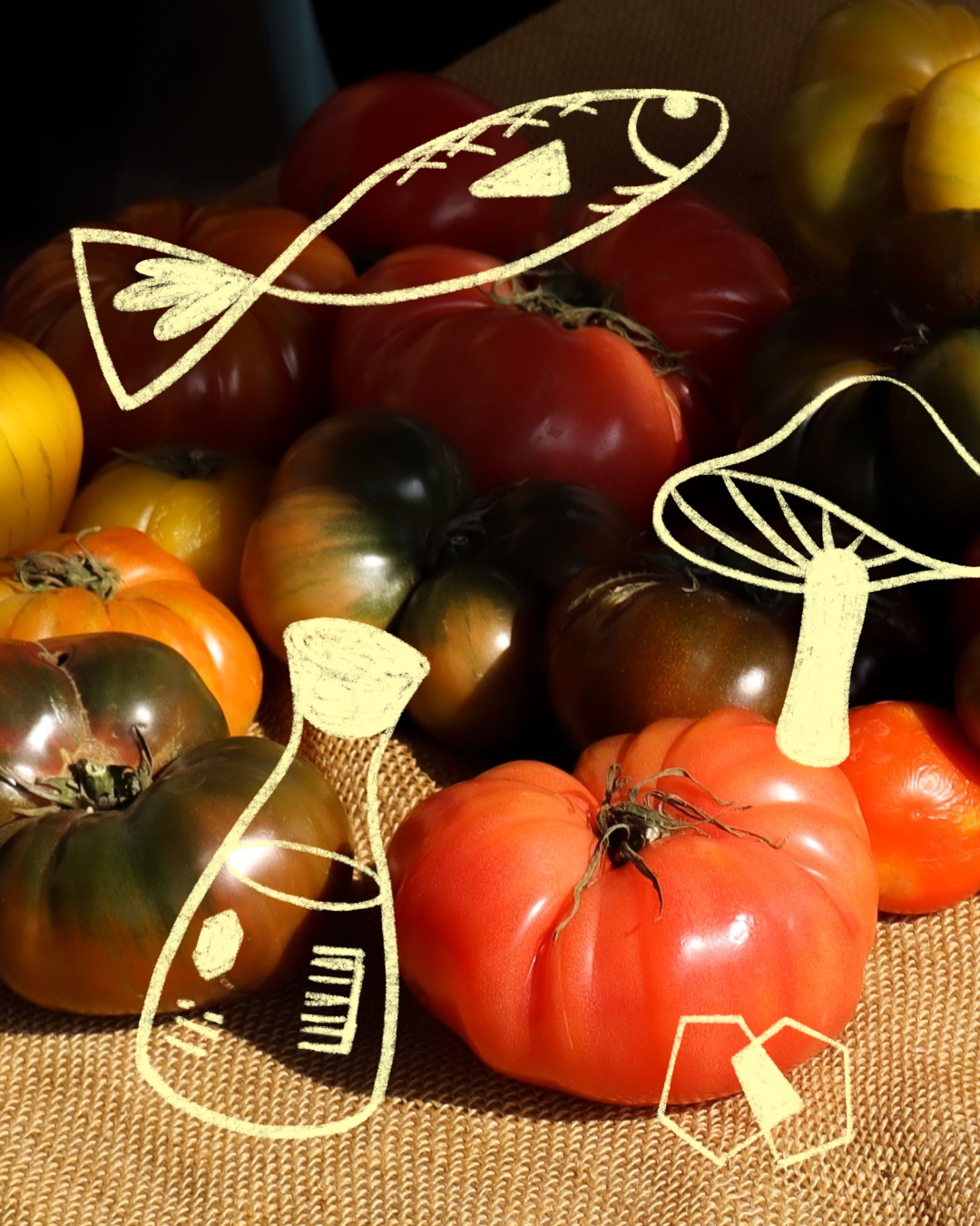 A Dash Of: Umami Hour — Salt, Tomatoes & the Fifth Flavor