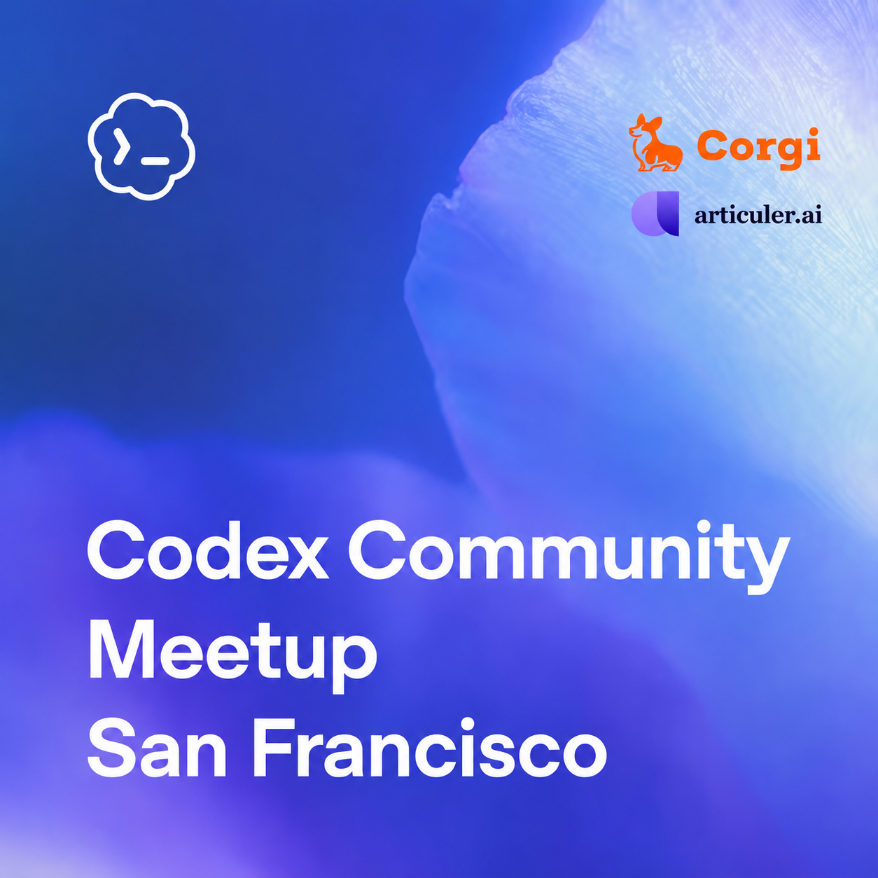 Codex Community Meetup