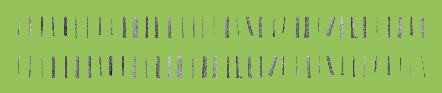 Cover art for #A Forest Deconstructed - Photography Exhibition Launch — The Arts Center at Governors Island (Building 110)