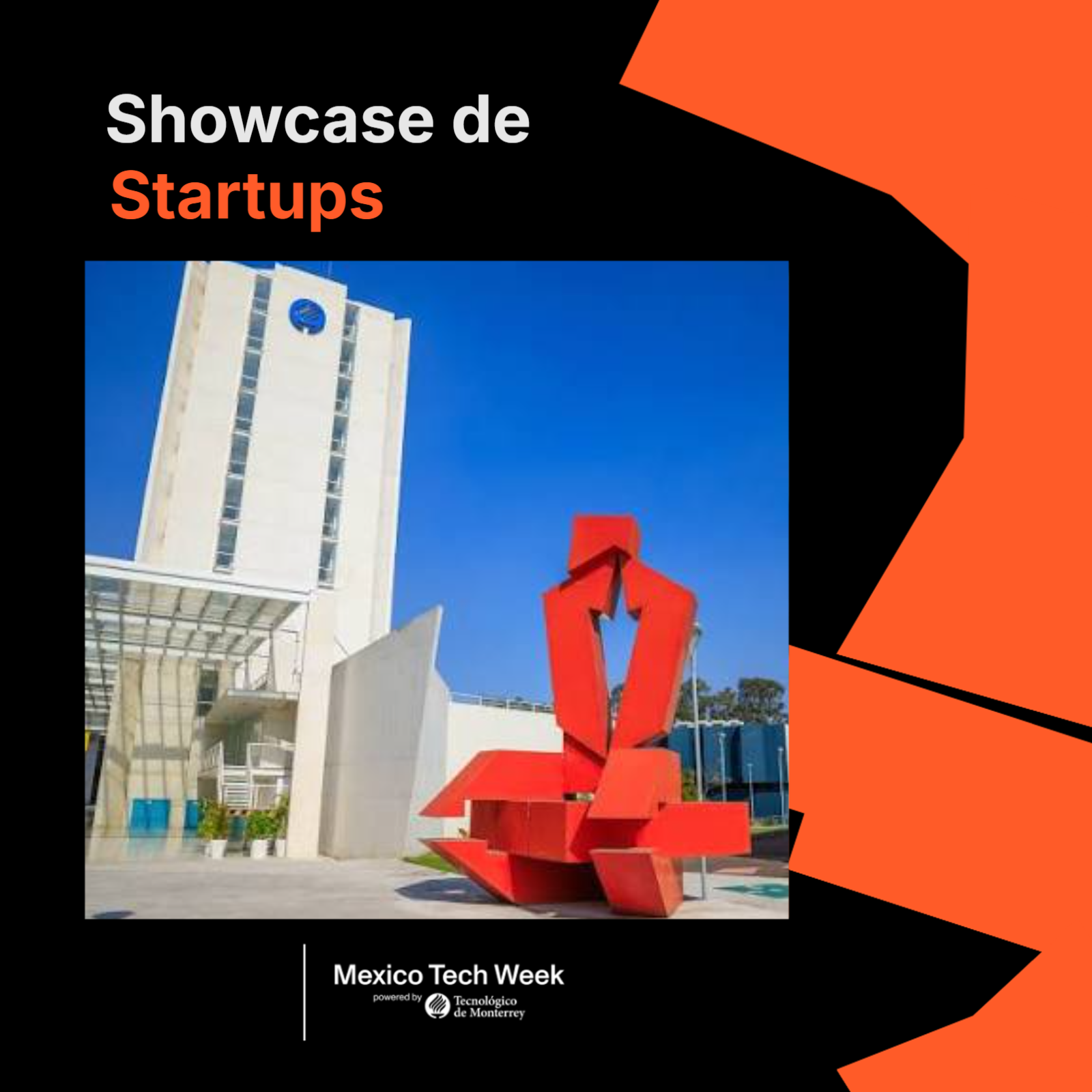 Showcase de Startups