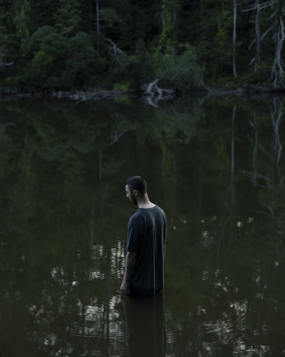 Art as Witness: A living exposition of Lyme & tick-borne disease
