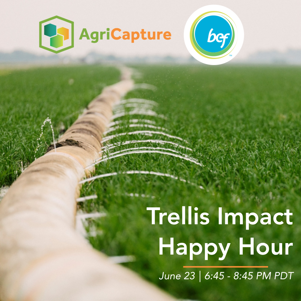 Cover art for #Water, Ag and Cheers Happy Hour — The Chieftain Irish Pub & Restaurant
